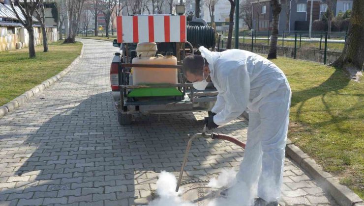 Rögar kapaklarında ilaçlama çalışmaları devam ediyor