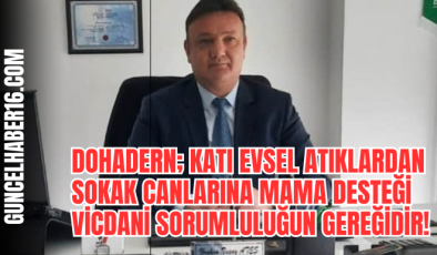 DOHADERN; Katı Evsel Atıklardan Sokak Canlarına Mama Desteği Vicdani Sorumluluğun Gereğidir!