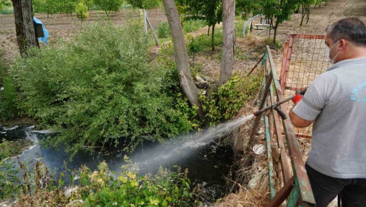 Altıeylül Belediyesi’nden sivrisinek ve haşerelere karşı ilaçlama