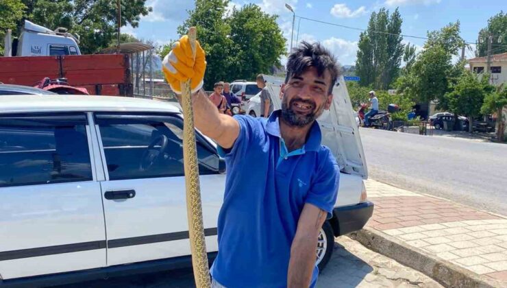 Çanakkale’de otomobilin motor kısmından engerek yılanı çıktı