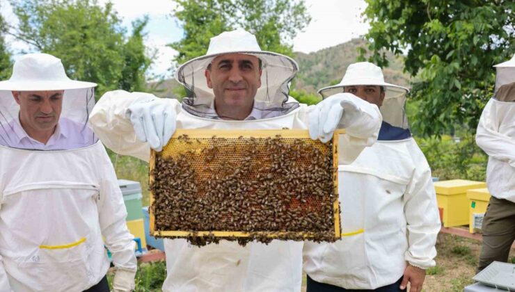 Bilecik’te ‘varroa’ ile topyekûn mücadele