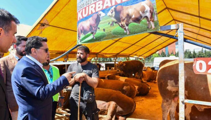 Esenyurt Belediye Başkanı Özer kurban pazarını ziyaret etti