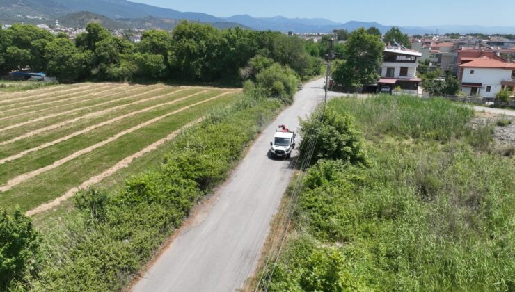 Sivrisinek, unutulan bir bardak suda bile üreyebiliyor