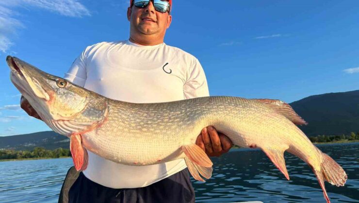 10 kiloluk turna balığını görünce tepkisi güldürdü: “Benim bahçemdeki kuzulardan büyük”