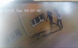 34 kaydı bulunan oto faresi 150 güvenlik kamerası izlenerek yakalandı