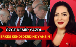 Herkes Kendi Derdine Yansın