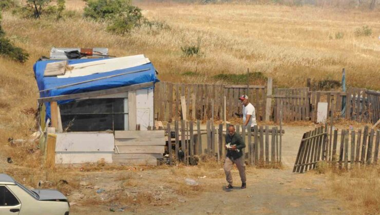 Anız yangınında kulübedeki güvercinlerini otomobilin bagajına koyarak kurtardı