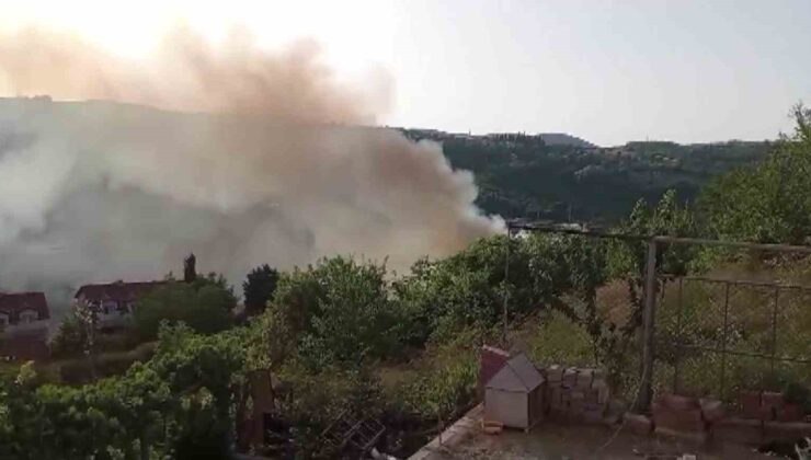 Araçta başlayan yangın ağaçlık alana sıçradı