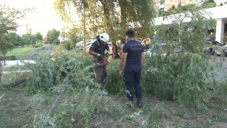 Ataşehir’de araçların üzerine ağaç devrildi