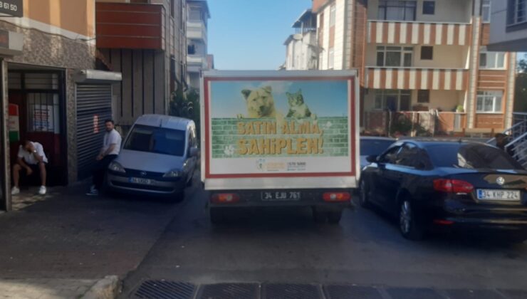 Ataşehir’de İETT şoförü otobüse çarpan martıyı böyle kurtardı