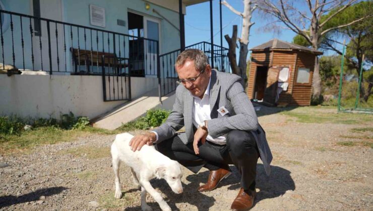 Ayvalık Belediye Başkanı Mesut Ergin, “Yasalar öldürmek değil yaşatmak için çıkarılır”
