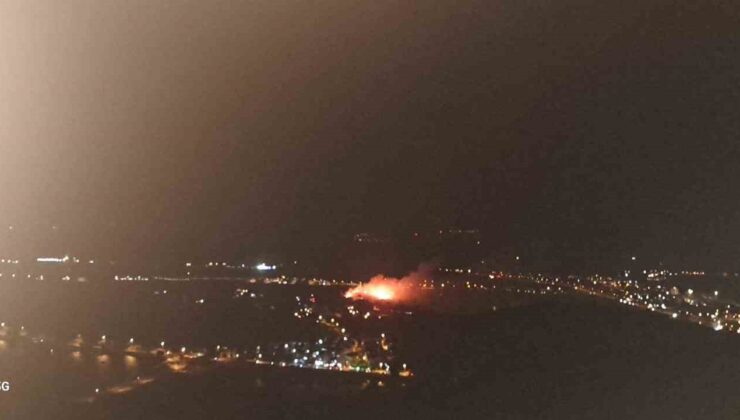 Ayvalık’ta orman yangını