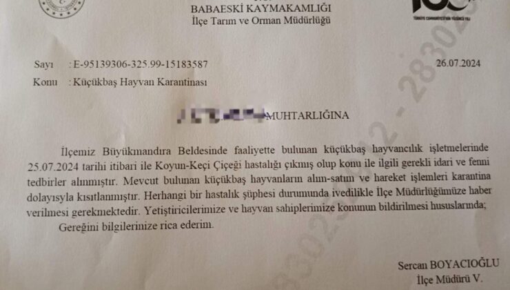 Babaeski’de küçükbaş hayvanlarda çiçek hastalığına rastlandı