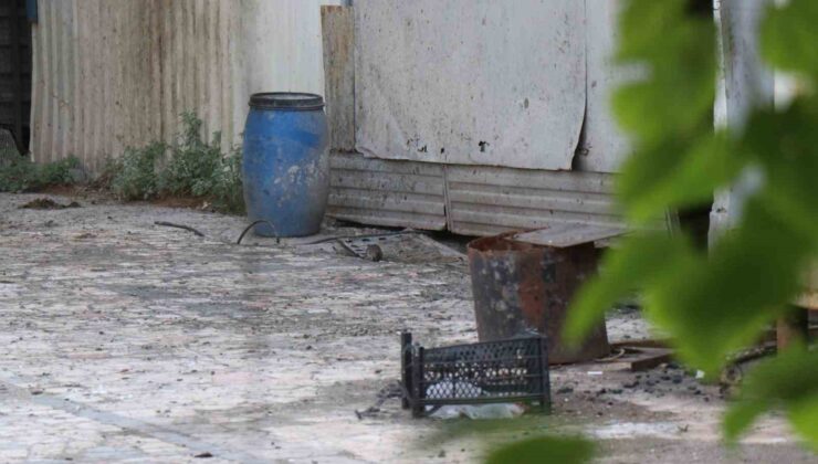 Bahçesinde kedi büyüklüğünde farelerin cirit attığı tesis, yaydığı kokuyla mahalleliyi bezdirdi