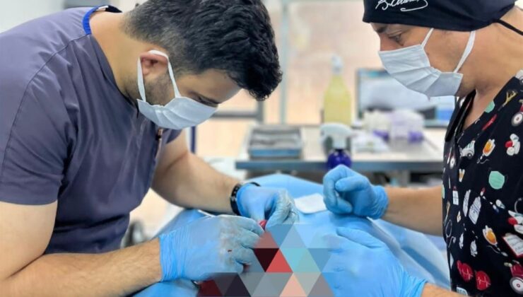 Balıkesir Büyükşehir Belediyesi can dostların yanında