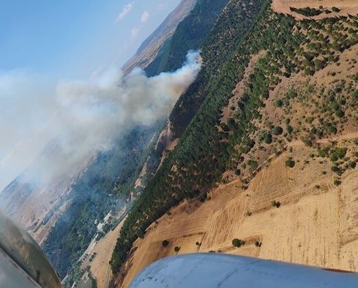 Balıkesir’de orman yangını