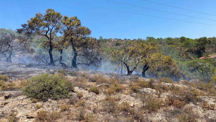 Balıkesir’in tatil beldesinde makilik alanda yangın çıktı