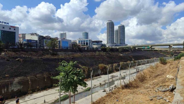 Basın Ekspres Yolu’nda 2 genç yol kenarında bulunan otları ve ağaçları yakıp kaçtı