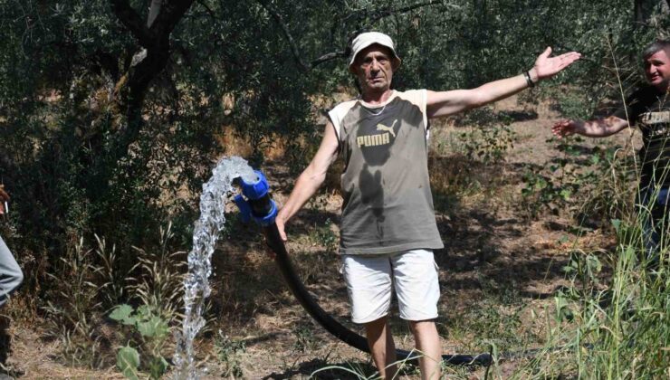 Başkan Akın, Erdek’te 20 bin zeytin ağacını suya kavuşturdu