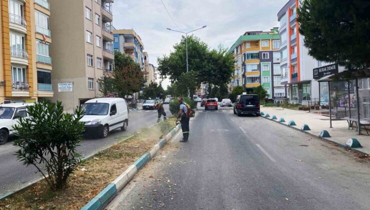 Başkan Nallar: “Herkes üstüne düşeni yapsın, şehrimize hep birlikte sahip çıkalım”