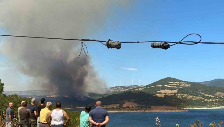 Bayramiç’te orman yangını