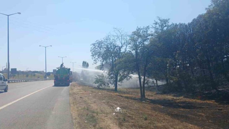 Beylikdüzü’nde otluk alandaki yangında mahsur kalan kaplumbağayı kurtarıp beslediler