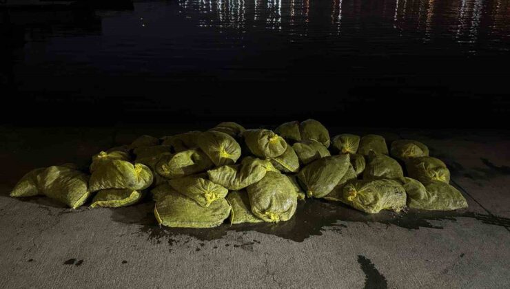 Beyoğlu’nda 1,5 ton kaçak midye ele geçirildi