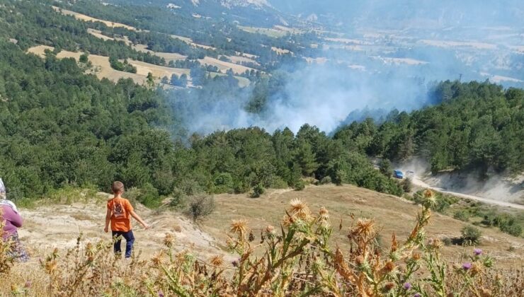 Bilecik’te son 2 günde 3’üncü orman yangını
