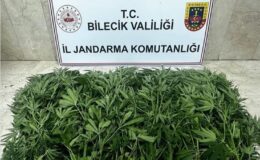 Bilecik’te uyuşturucu operasyonu: 2 şüpheli tutuklandı