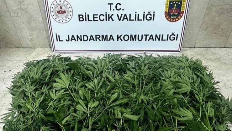 Bilecik’te uyuşturucu operasyonu: 2 şüpheli tutuklandı
