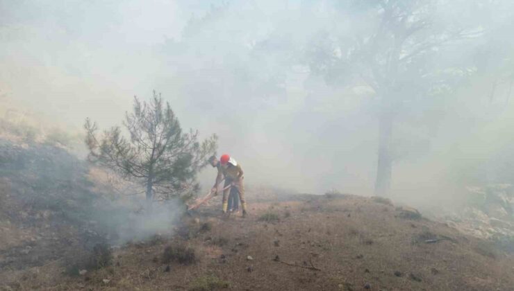 Burhaniye’deki orman yangını kısa sürede kontrol altına alındı