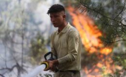 Bursa’da ormanlara girişler 1 Ekim tarihine kadar yasaklandı