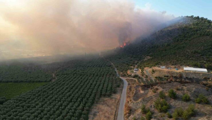 Bursa’da yangın