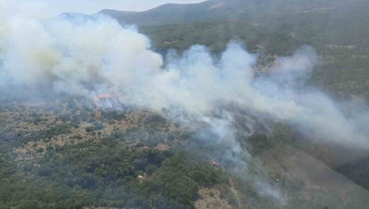Bursa’daki orman yangını kontrol altına alındı