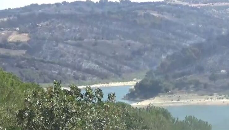 Çanakkale’de orman yangınını kontrol altına alma çalışmaları sürüyor