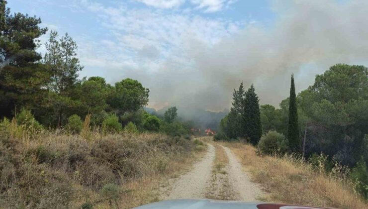 Çanakkale’deki orman yangını kontrol altına alındı