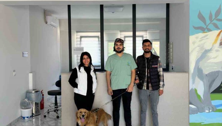 Çayırova’da 70 sokak hayvanı yeni yuvalarına kavuştu
