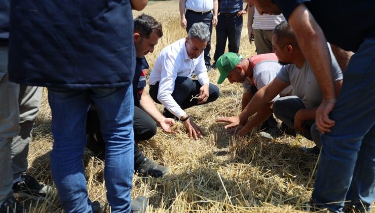 Çiftçilerle biçerdöver hasadına katıldı