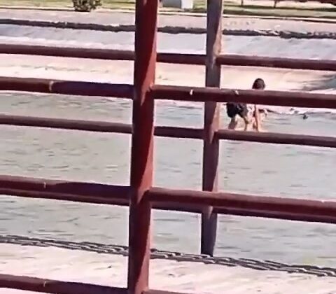 Çocukların süs havuzunda tehlikeli oyunu