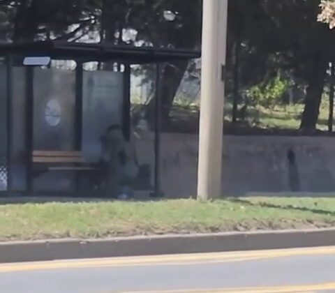 Durakta unutulan çanta ekipleri harekete geçirdi