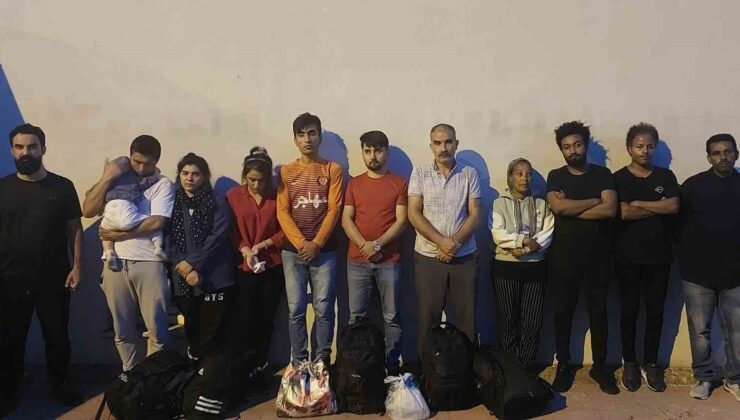 Edirne’de göçmen operasyonu: 23 kaçak göçmen yakalandı
