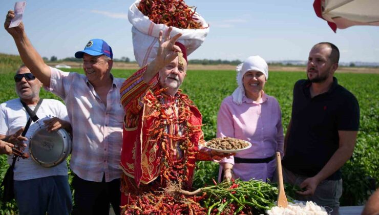 Edirne’de kavurucu sıcaklar Karaağaç biberinde hasadı geciktirdi