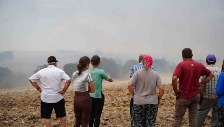 Edirne’deki orman yangınına havadan ve karadan müdahale sürüyor