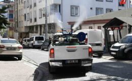 Esenyurt sivrisinek ve haşerelere karşı ilaçlanıyor