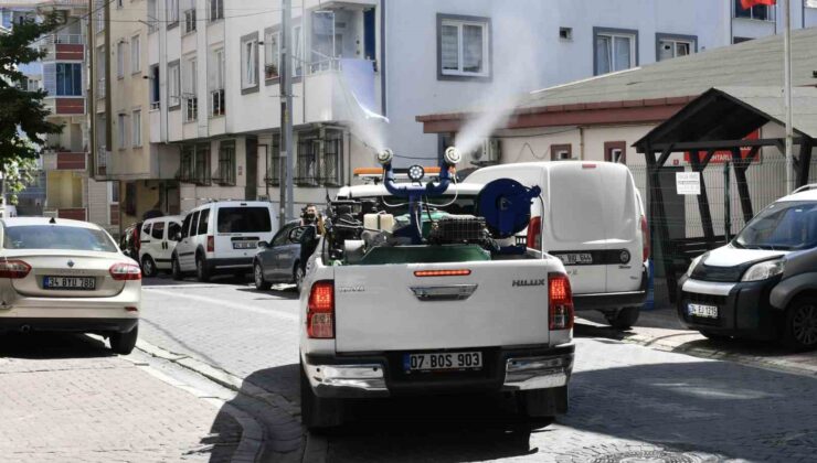Esenyurt sivrisinek ve haşerelere karşı ilaçlanıyor