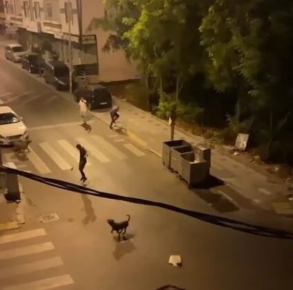 Esenyurt’ta bir şahıs 3 köpeğini bir adamın üzerine saldırttı