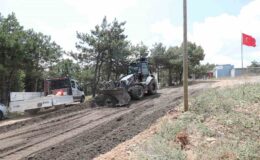Gebze’ye ikinci mesire alanı yapılıyor