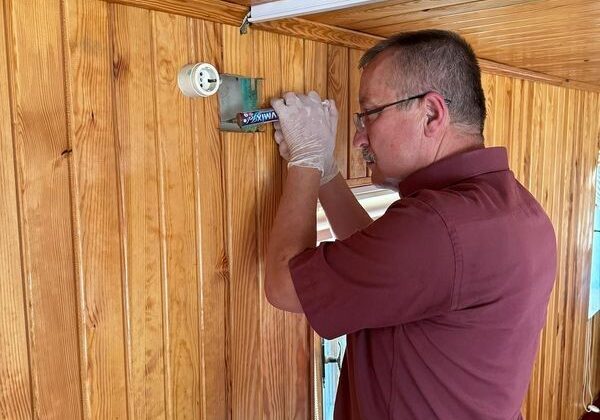 Hamam böceklerine karşı belediye tedbir aldı