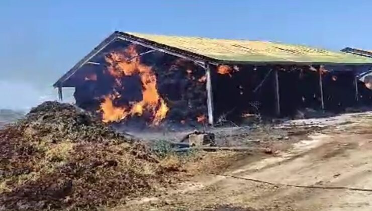 Hayvan çiftliğindeki saman yangını korkuttu