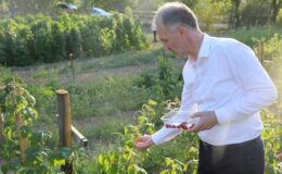 İnegöl Belediyesi ücretsiz toprak analizlerine devam ediyor